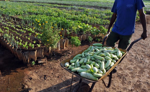 Agricultura