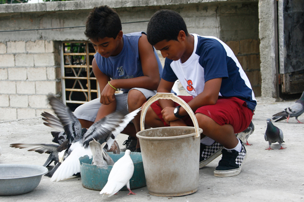 Habastation, niños con palomas.