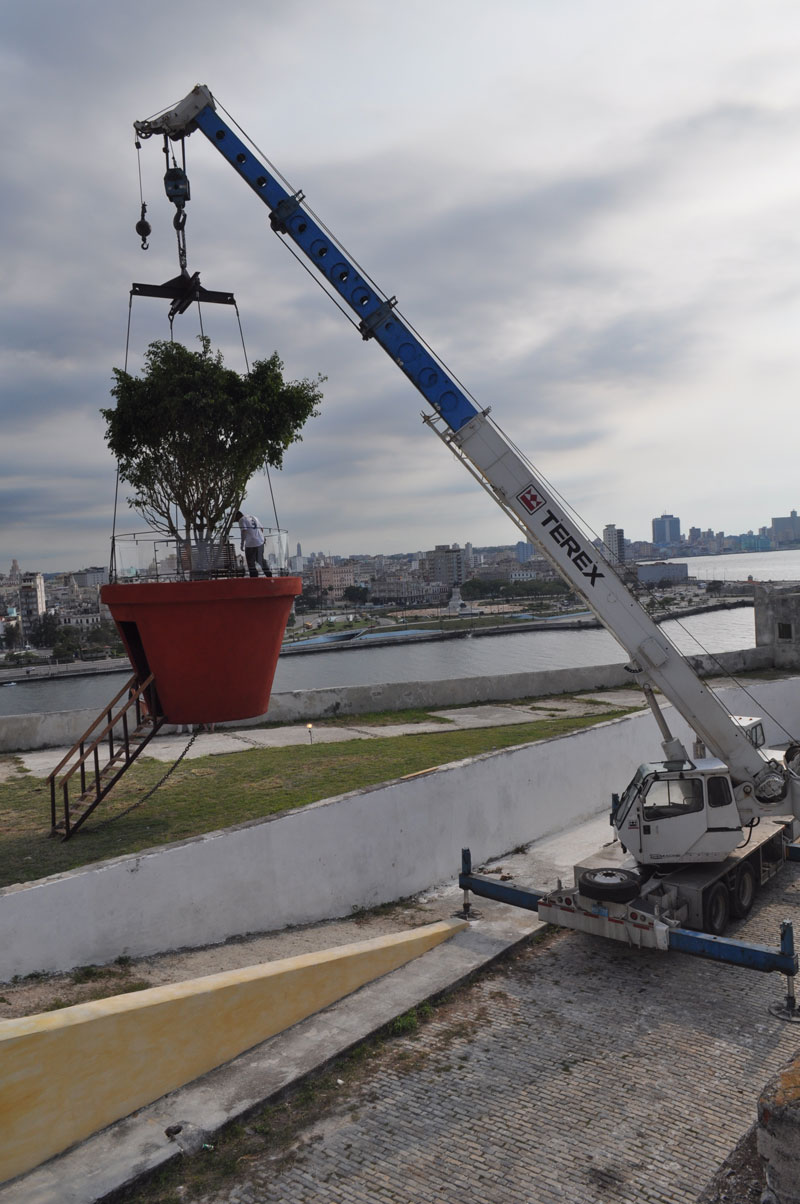 Maceta bienal1