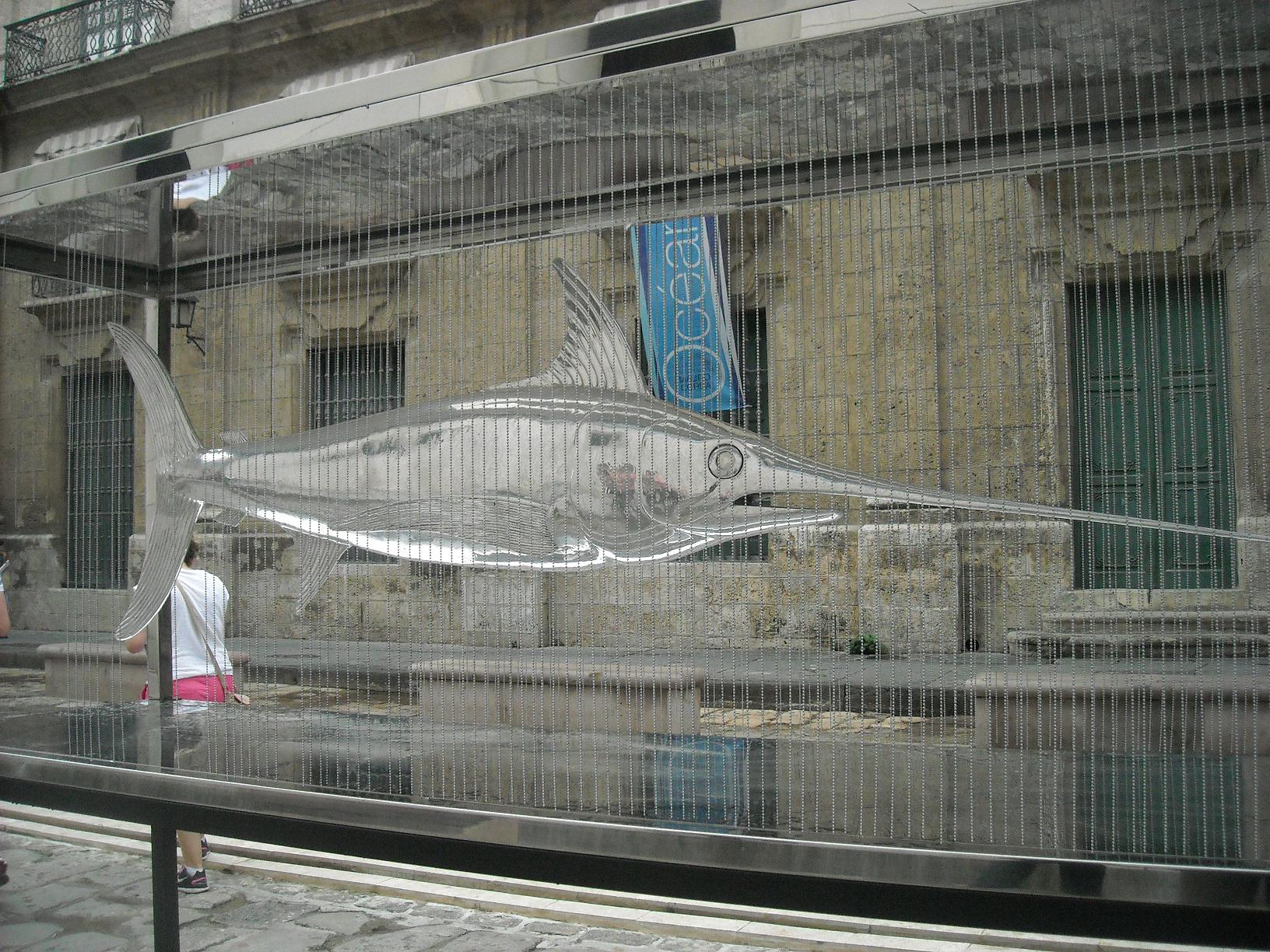 Exposición Océano en Habana Vieja 02