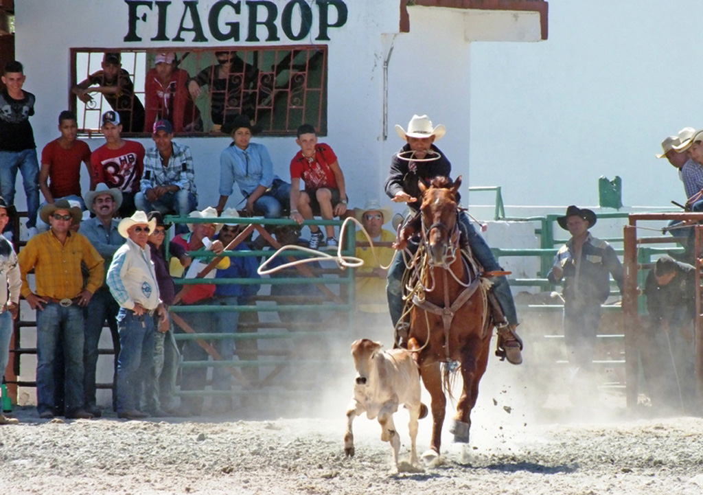 Competencias de rodeo 10