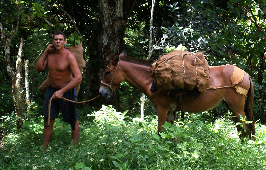 Baracoa 10