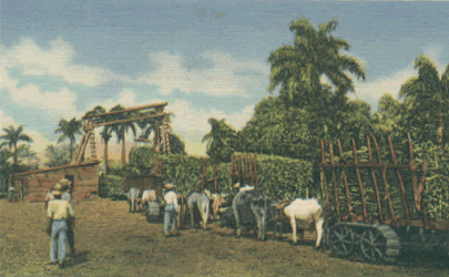 Ingenio de azúcar
