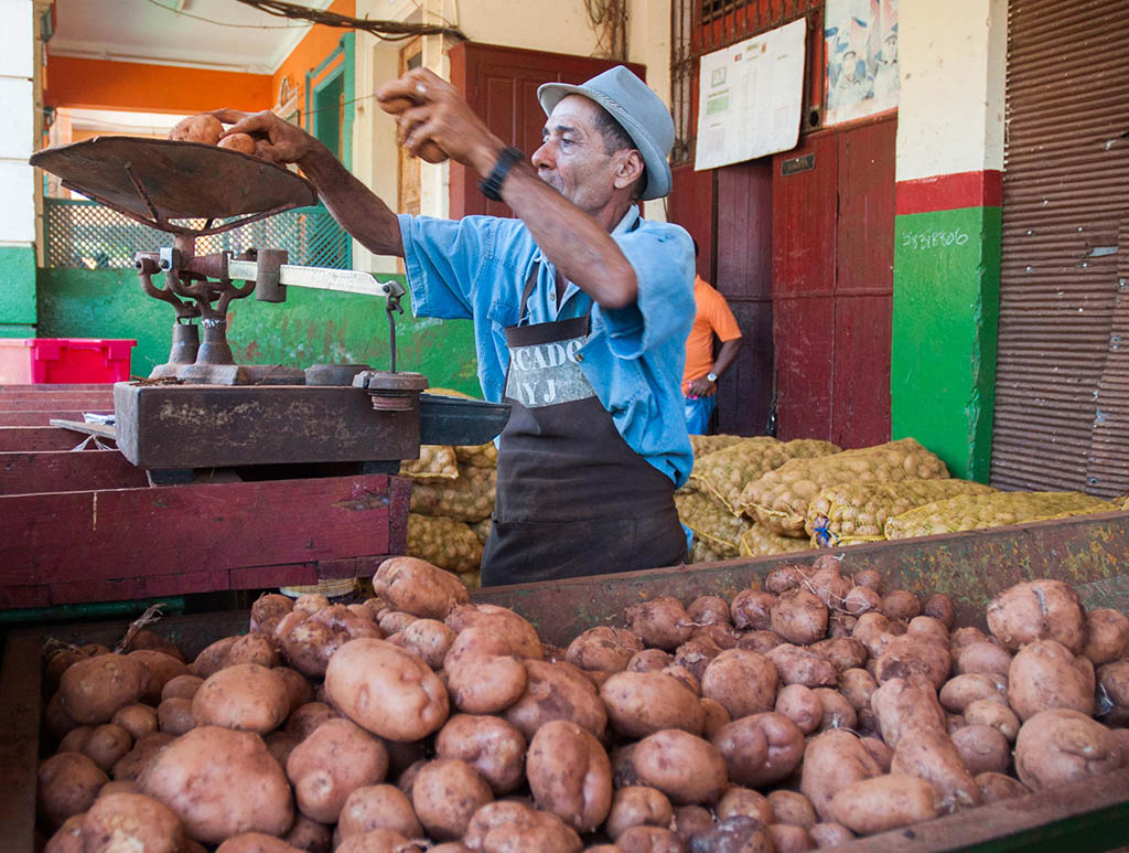 Venta liberadad de papas