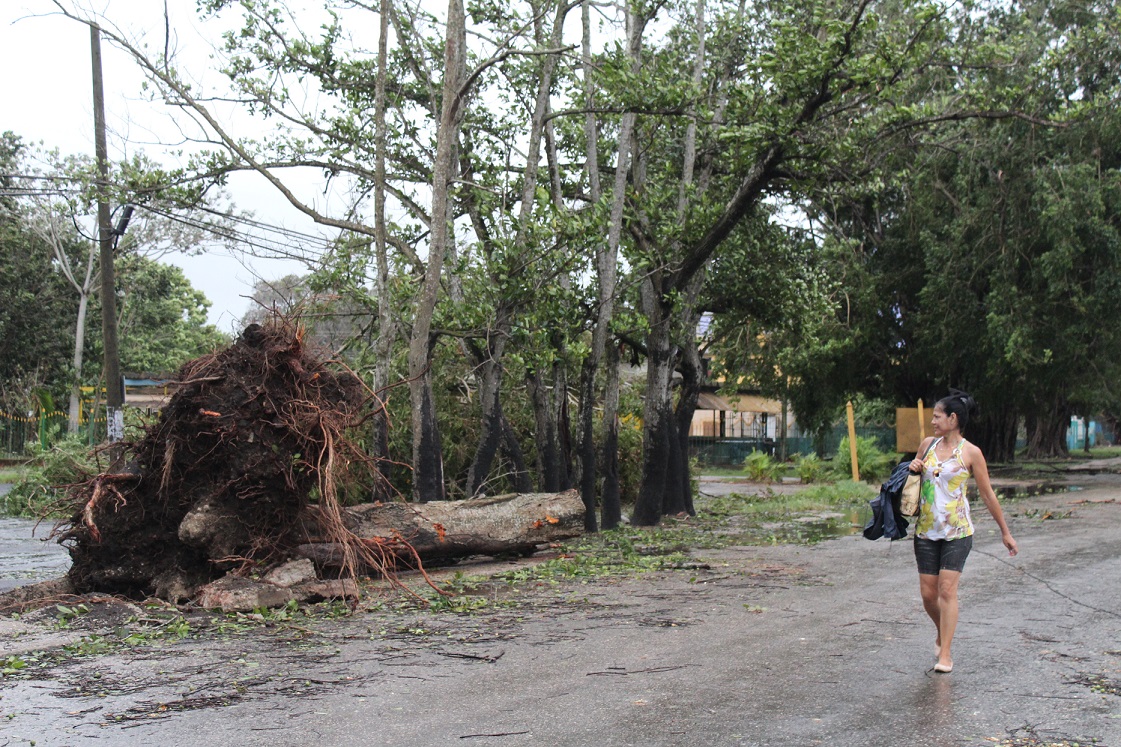 Los vientos de tormenta tropical del huracán Irma que azotaron durante toda la noche y madrugada, el sureste de la capital, provocaron la caída de árboles y del tendido eléctrico en algunas zonas del municipio de Cotorro, en la Habana, Cuba, el 10 de sept Los vientos de tormenta tropical del huracán Irma que azotaron durante toda la noche y madrugada, el sureste de la capital, provocaron la caída de árboles y del tendido eléctrico en algunas zonas del municipio de Cotorro, en la Habana, Cuba, el 10 de sept