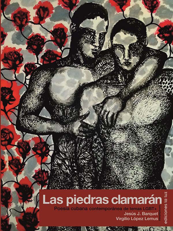 Las piedras clamarán-Portada del Libro