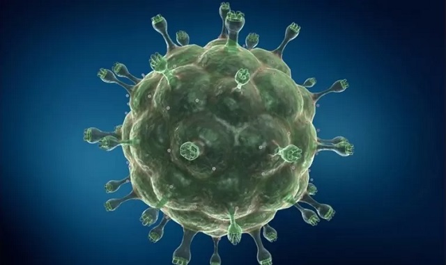 Virus- VIH
