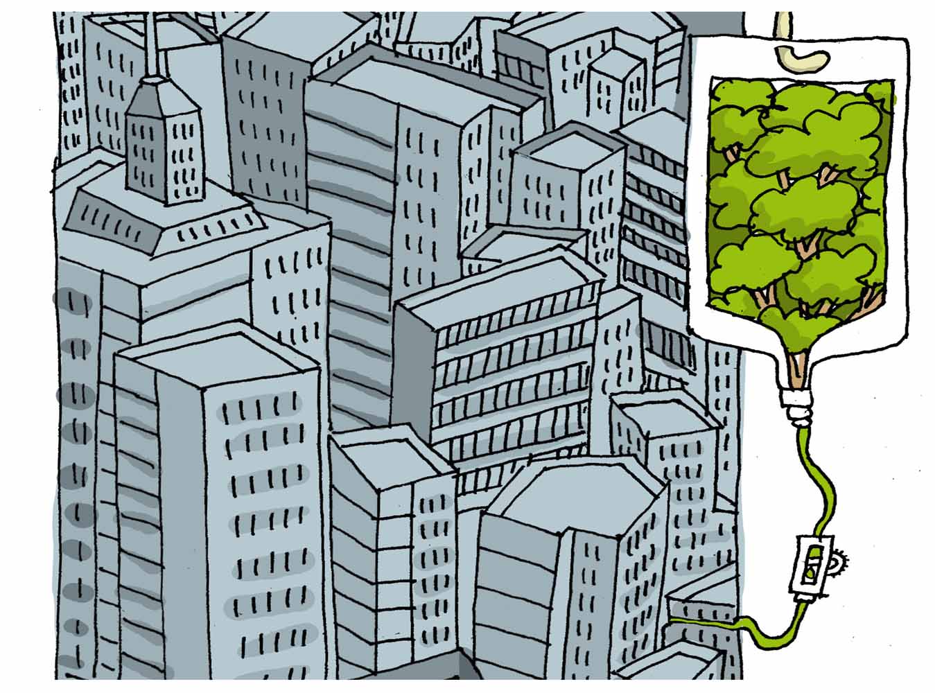 Sanar el Medio ambiente Sanar el Medio ambiente