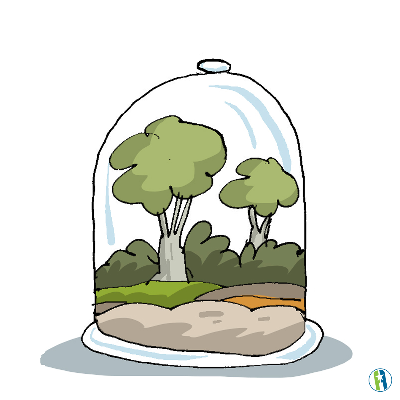 Conservación del medio ambiente Conservación del medio ambiente