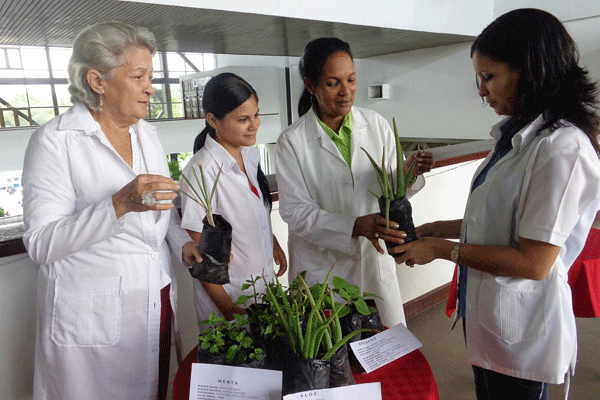 Medicina Natural y tradicional en Cuba