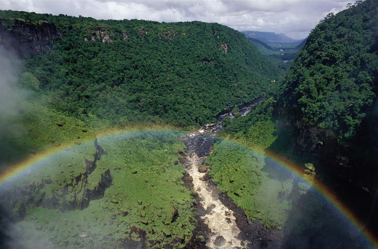 Amazonas 