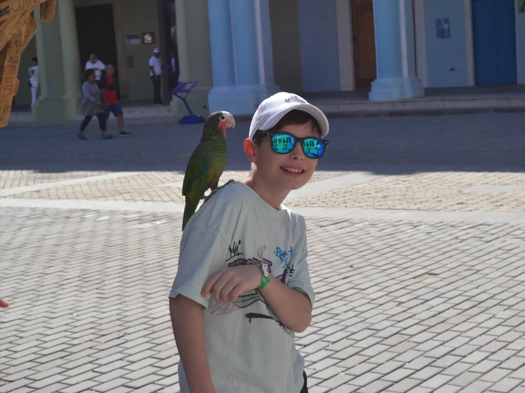 Caminar La Habana 