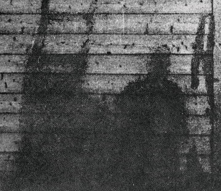 Sombras atómicas
