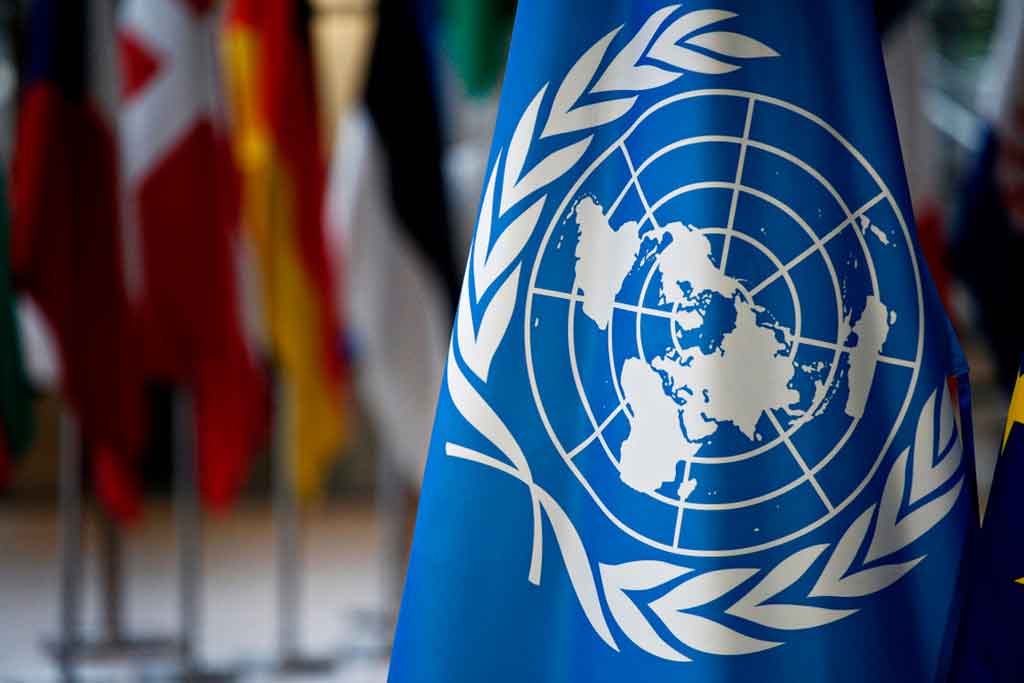 Organización de Naciones Unidas