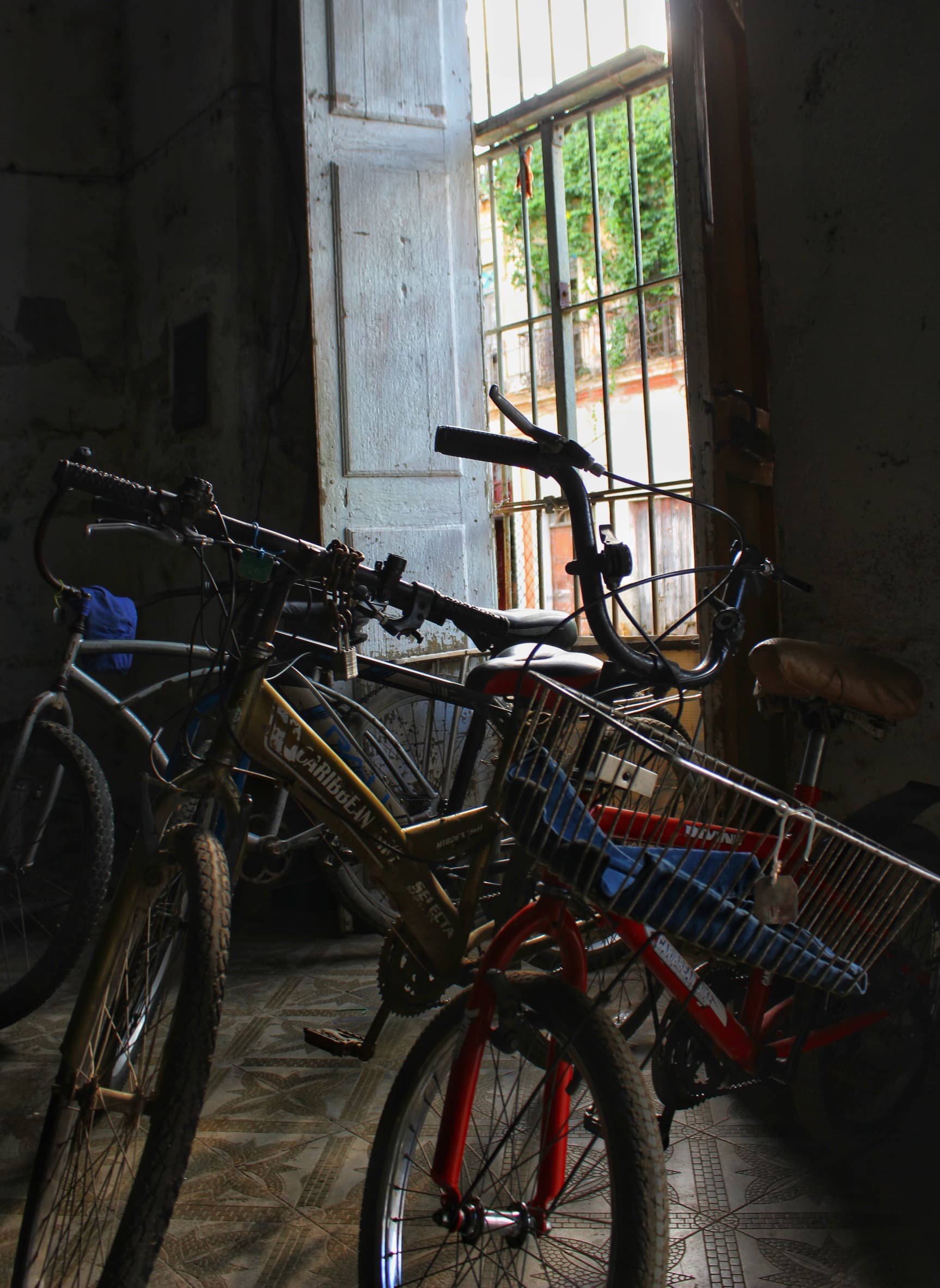 La bicicleta: un invento que no pasa de moda  La bicicleta: un invento que no pasa de moda