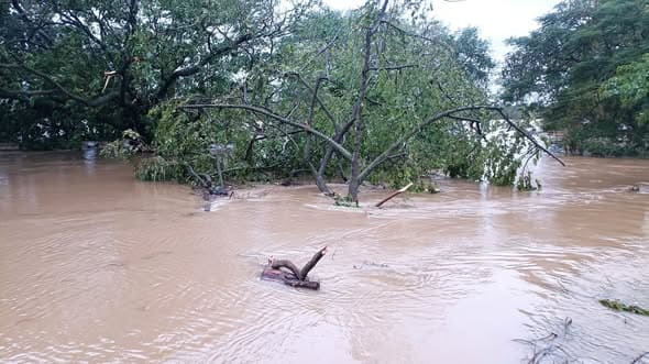 Río Bayamo fuera de su cause. Río Bayamo fuera de su cause.
