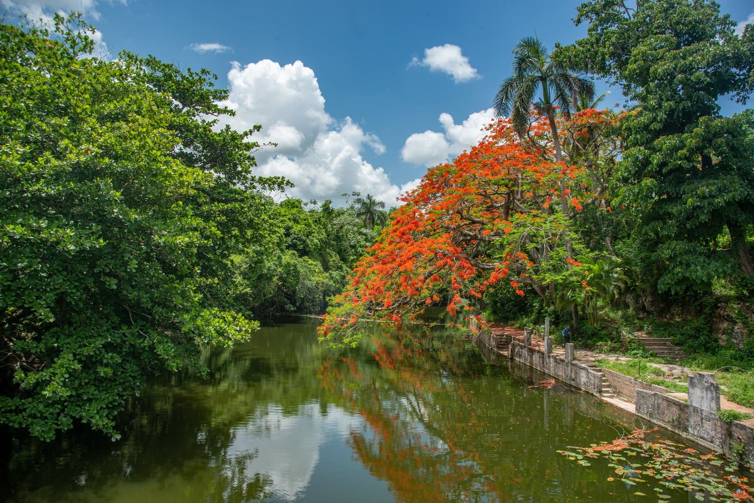 Color Cuba