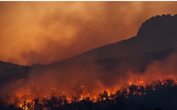 incendios forestales
