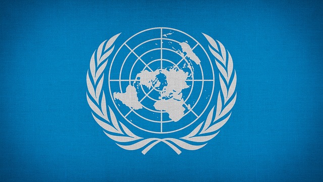 Logo de las Naciones Unidas